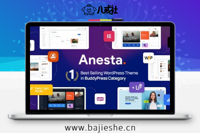 Anesta – Intranet, Extranet, Community and BuddyPress社区主题