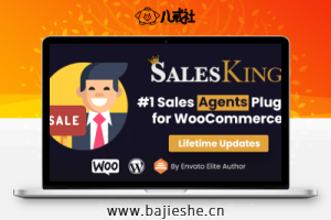 Salesking – WordPress在线销售管理工具插件