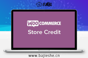 Woocommerce Store Credit – 商店用户储值余额系统插件