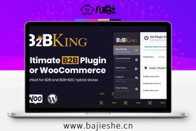 B2BKing – WordPress B2B批发销售询价插件