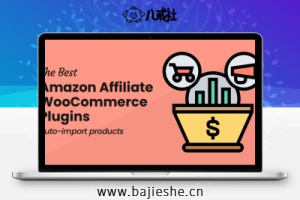 WooCommerce Amazon Affiliates – 亚马逊商品导入一件代发业务高级插件