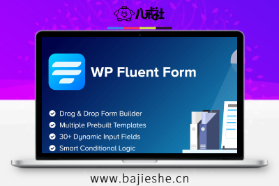 WP Fluent Forms Pro Add-On – 表单高级扩展插件