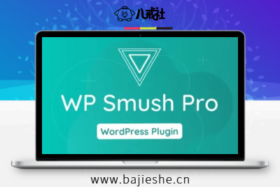 Smush Pro – WordPress网站图片瘦身图像批量压缩Webp生成插件